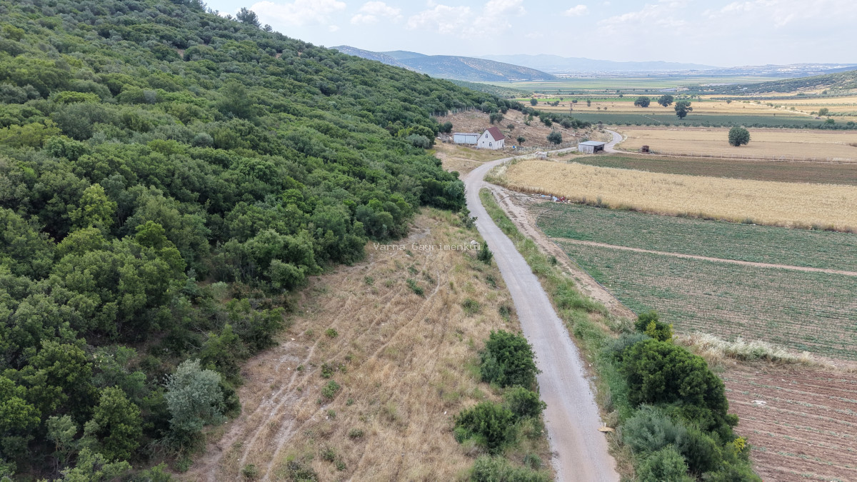 İZMİR ÇAKALTEPEDE SATILIK TEKTAPU 700 M2 SAHİLE YAKIN YATIRIMLIK BAHÇE - 3