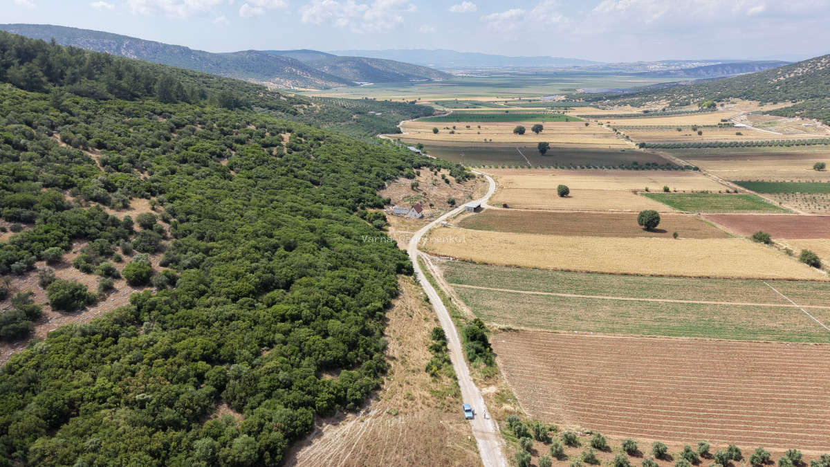İZMİR ÇAKALTEPEDE SATILIK TEKTAPU 700 M2 SAHİLE YAKIN YATIRIMLIK BAHÇE - 5