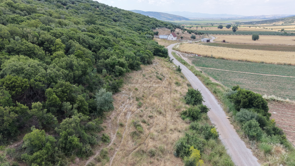 İZMİR ÇAKALTEPEDE SATILIK TEKTAPU 700 M2 SAHİLE YAKIN YATIRIMLIK BAHÇE - 6