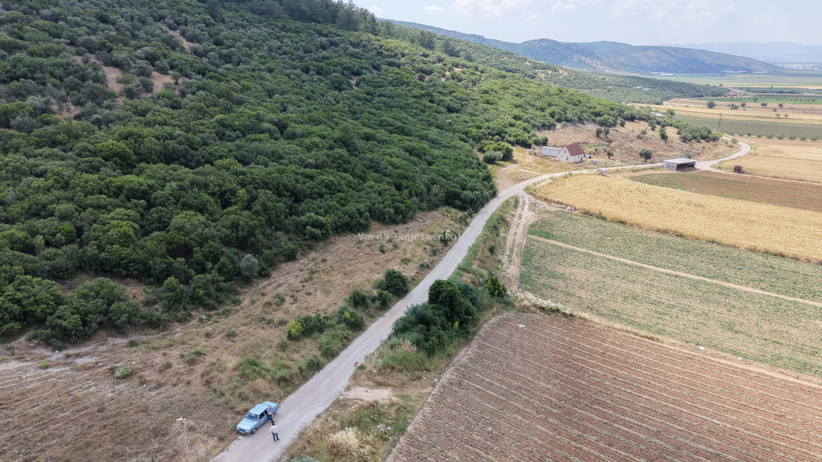 İZMİR ÇAKALTEPEDE SATILIK TEKTAPU 700 M2 SAHİLE YAKIN YATIRIMLIK BAHÇE - 9