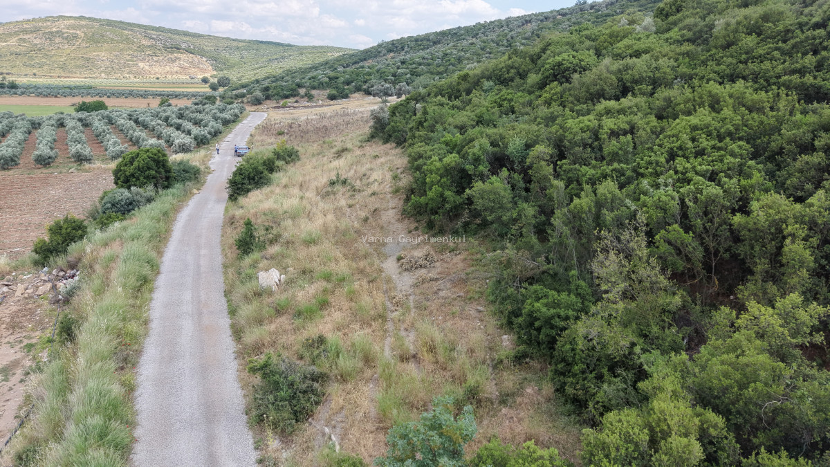 İZMİR ÇAKALTEPEDE SATILIK TEKTAPU 700 M2 SAHİLE YAKIN YATIRIMLIK BAHÇE - 11