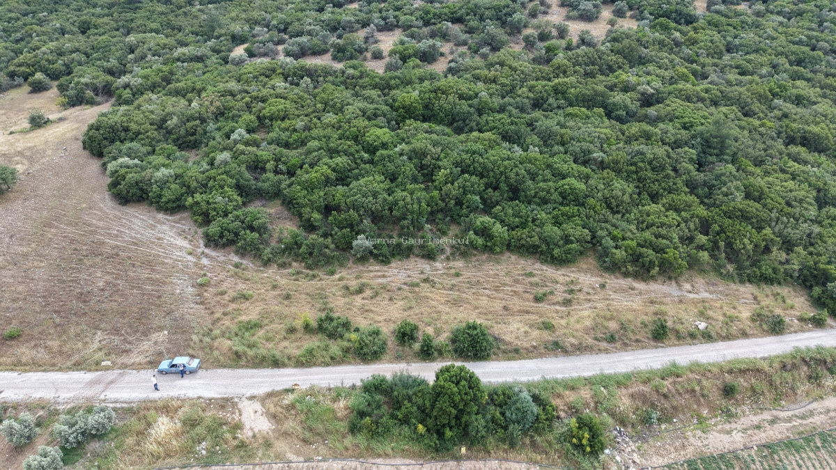 İZMİR ÇAKALTEPEDE SATILIK TEKTAPU 700 M2 SAHİLE YAKIN YATIRIMLIK BAHÇE - 16