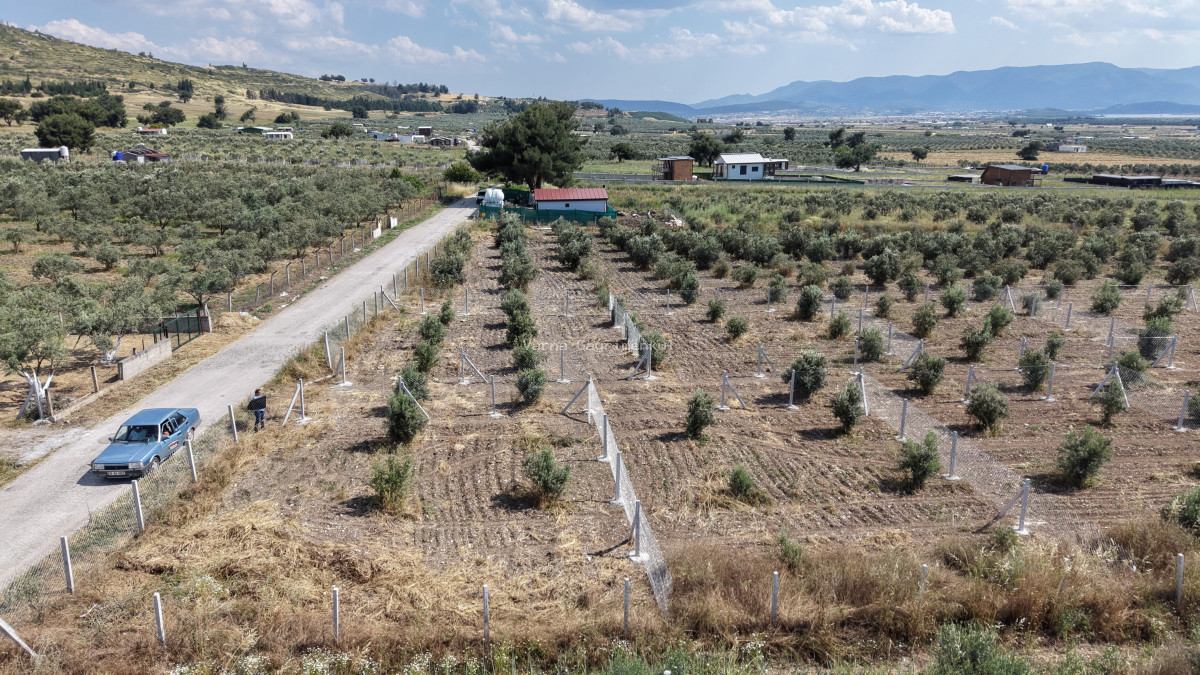 MENDERES TEKELİDE SATILIK TAPULU 170 M2 HARİKA BARAJ MANZARALI YATIRIMLIK BAHÇELER - 7