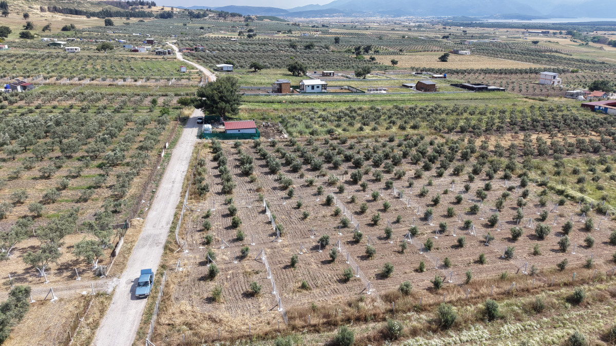 MENDERES TEKELİDE SATILIK TAPULU 170 M2 HARİKA BARAJ MANZARALI YATIRIMLIK BAHÇELER - 9