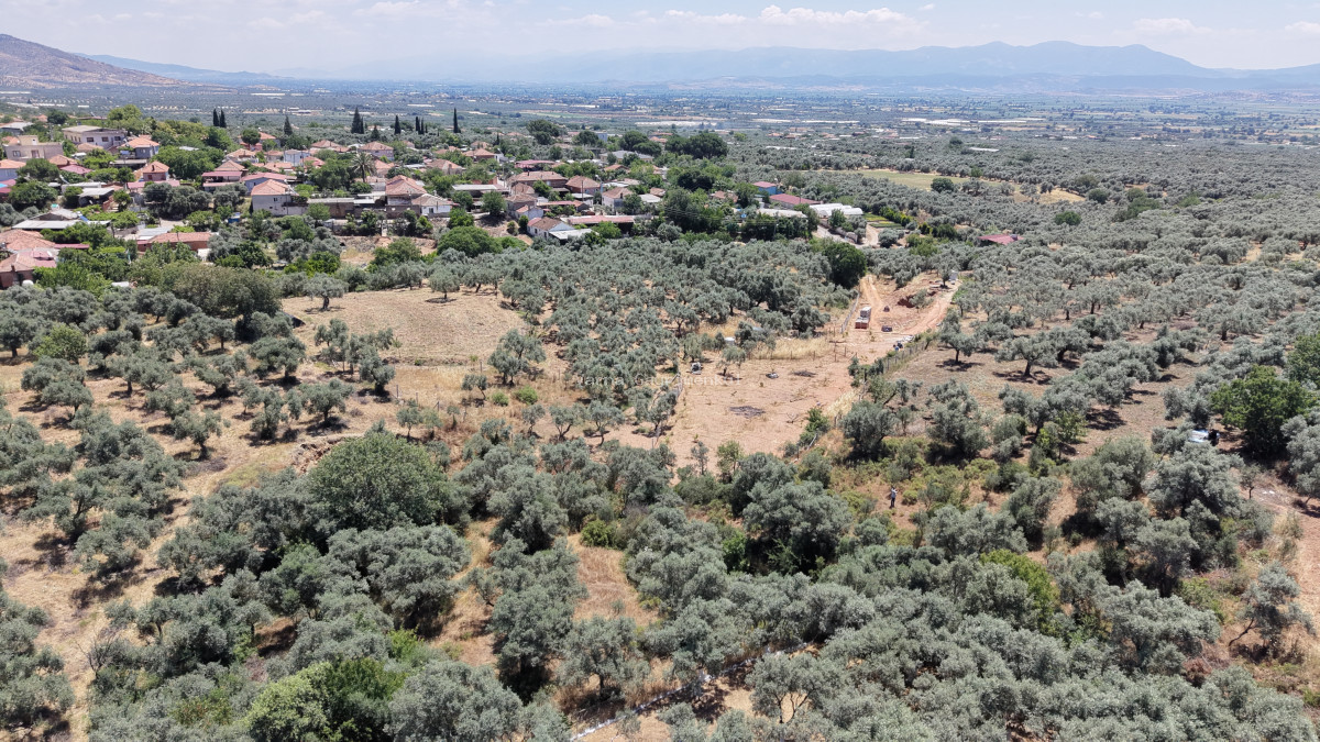 BAYINDIR KIZILCAOVADA SATILIK TEKTAPU KÖYÜN DİBİNDE 2.133 M2 HESAPLI ZEYTİNLİK - 9