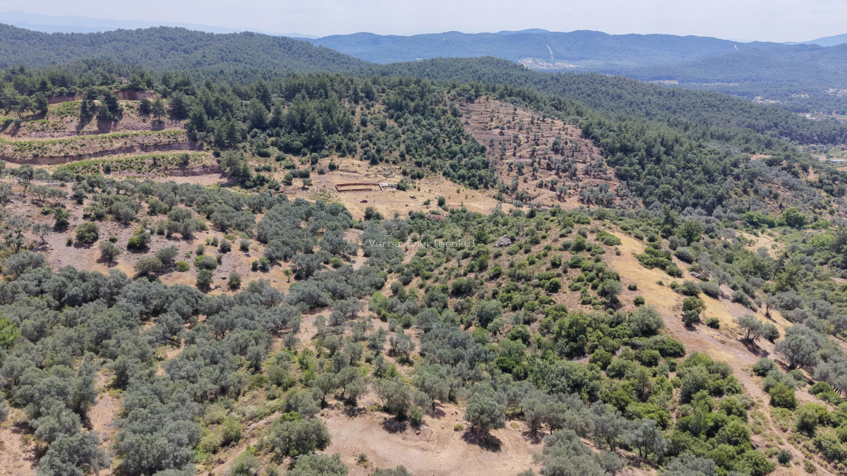 İZMİR YENİKÖYDE SATILIK TEKTAPU 9.050 M2 ANAYOLA KÖYE YAKIN KELEPİR ZEYTİNLİK - 2