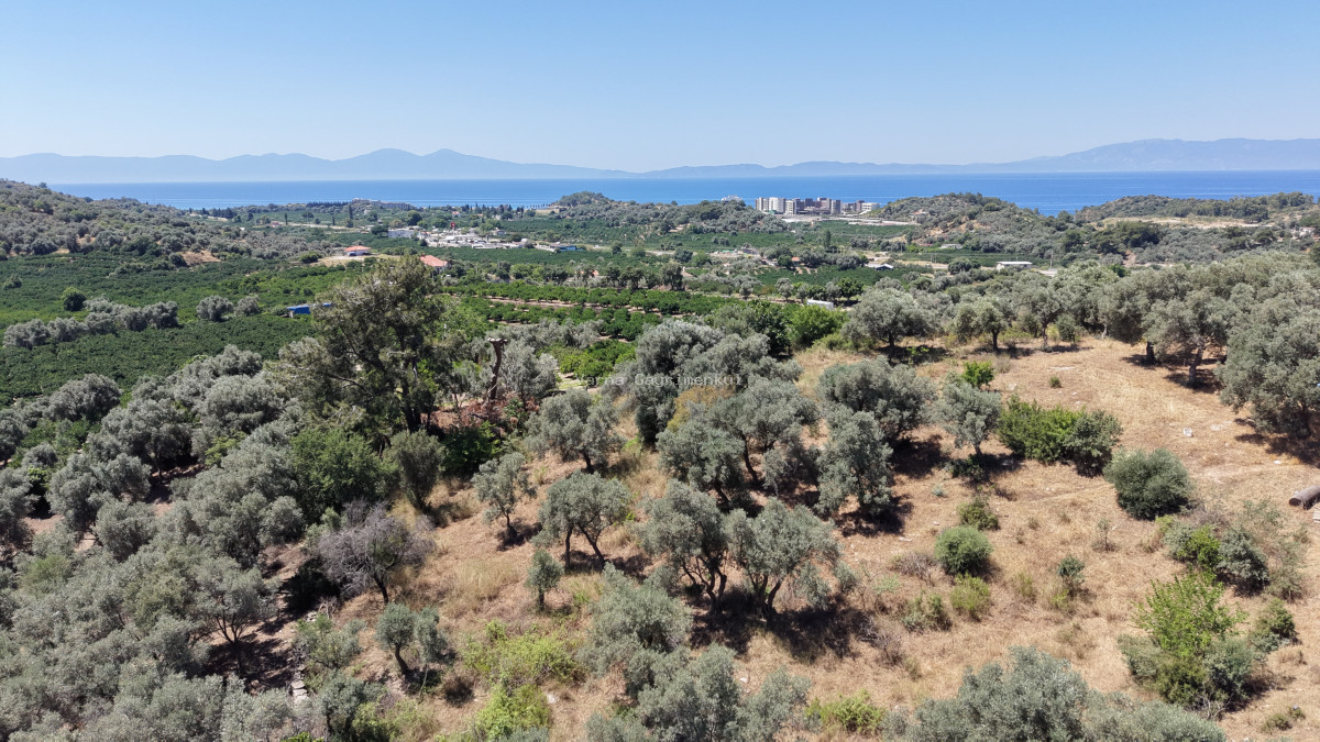 İZMİR ÖZDEREDE SATILIK DENİZ MANZARALI TEKTAPU 1.961 M2 YATIRIMLIK BAHÇE