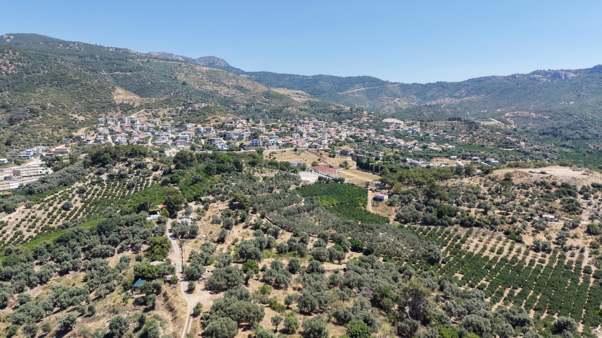 İZMİR ÖZDEREDE SATILIK DENİZ MANZARALI TEKTAPU 1.961 M2 YATIRIMLIK BAHÇE - 11