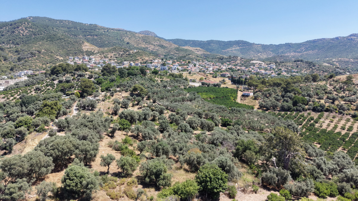 İZMİR ÖZDEREDE SATILIK DENİZ MANZARALI TEKTAPU 1.961 M2 YATIRIMLIK BAHÇE - 12