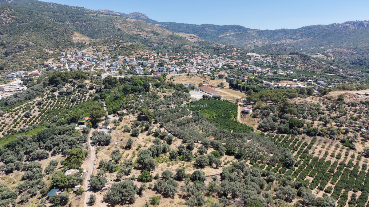İZMİR ÖZDEREDE SATILIK DENİZ MANZARALI TEKTAPU 1.961 M2 YATIRIMLIK BAHÇE - 14