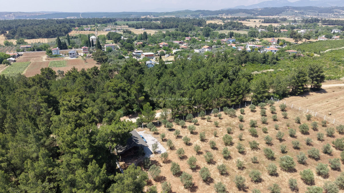 İZMİR YEŞİLKÖYDE SATILIK TEKTAPU 5.157 M2 HAVAALANINA YAKIN HARİKA ÇİFTLİK - 5