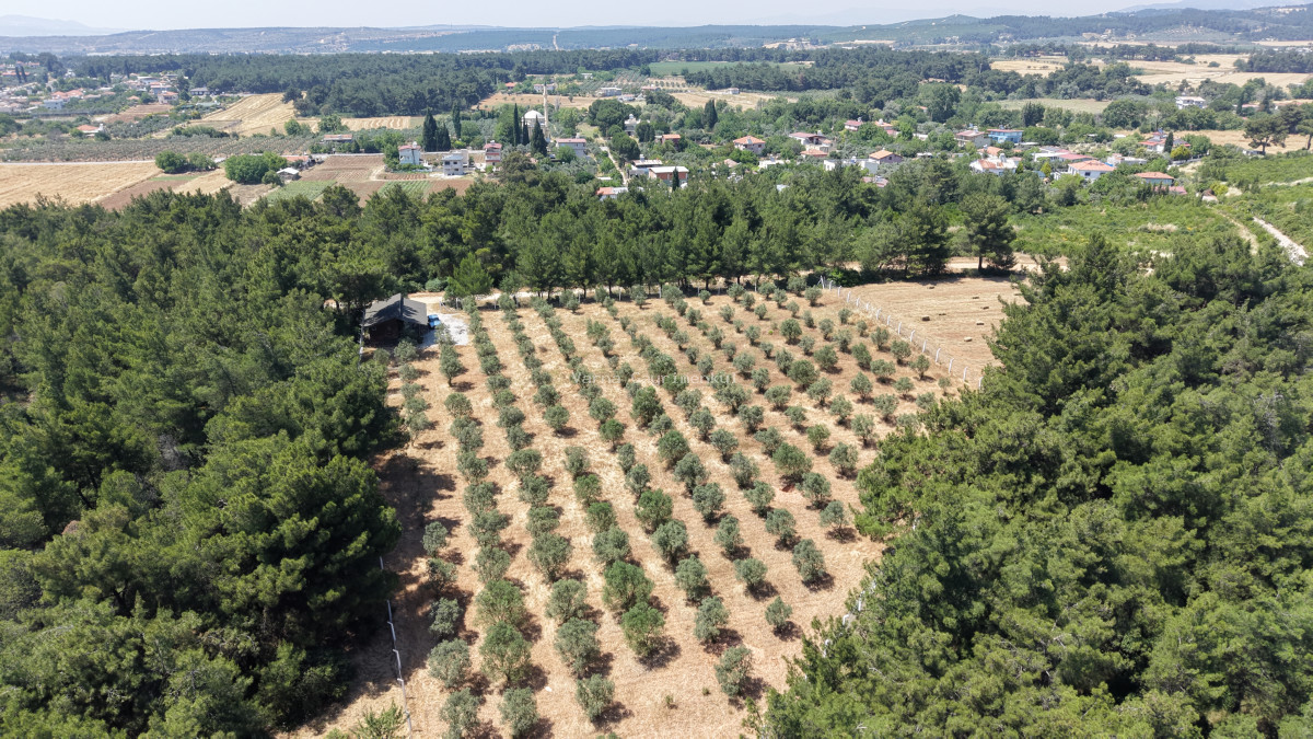 İZMİR YEŞİLKÖYDE SATILIK TEKTAPU 5.157 M2 HAVAALANINA YAKIN HARİKA ÇİFTLİK - 8