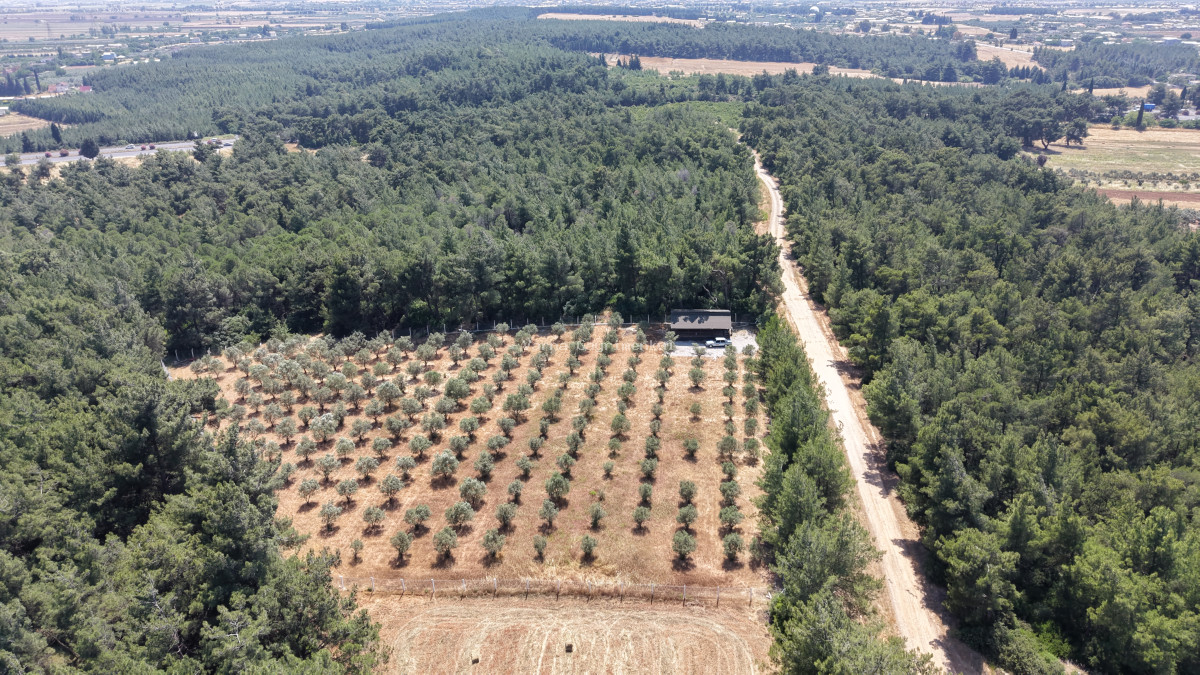 İZMİR YEŞİLKÖYDE SATILIK TEKTAPU 5.157 M2 HAVAALANINA YAKIN HARİKA ÇİFTLİK - 9