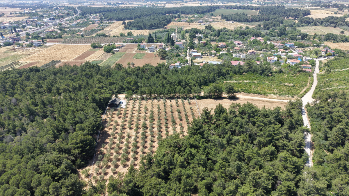 İZMİR YEŞİLKÖYDE SATILIK TEKTAPU 5.157 M2 HAVAALANINA YAKIN HARİKA ÇİFTLİK - 10