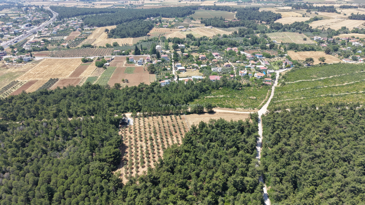 İZMİR YEŞİLKÖYDE SATILIK TEKTAPU 5.157 M2 HAVAALANINA YAKIN HARİKA ÇİFTLİK - 11