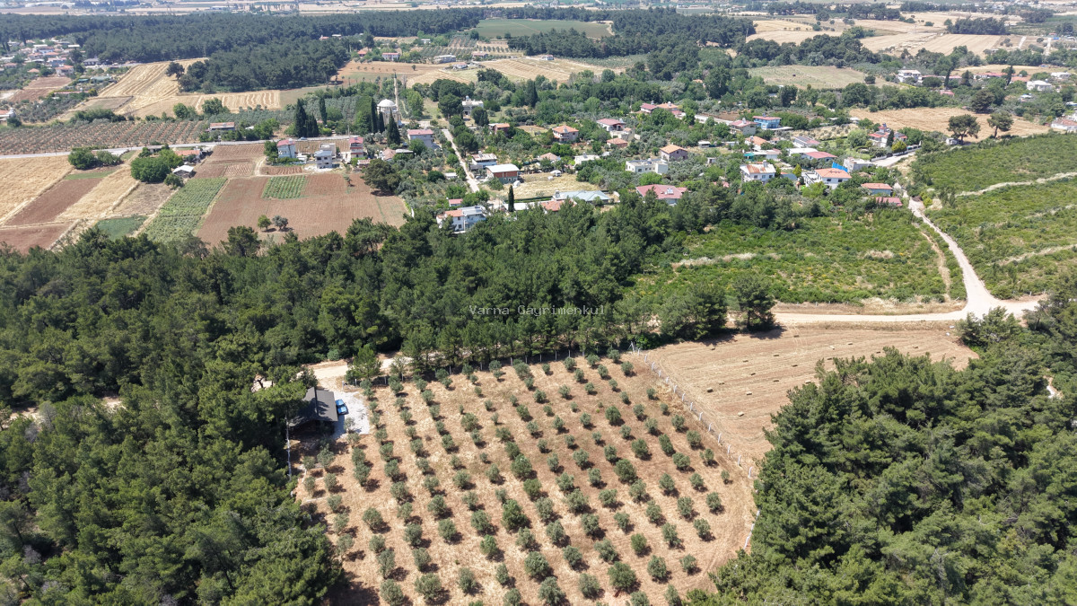 İZMİR YEŞİLKÖYDE SATILIK TEKTAPU 5.157 M2 HAVAALANINA YAKIN HARİKA ÇİFTLİK - 12