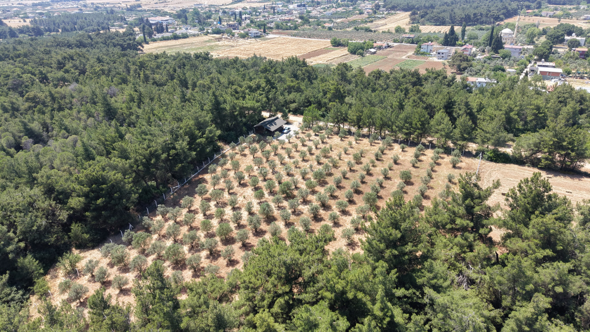 İZMİR YEŞİLKÖYDE SATILIK TEKTAPU 5.157 M2 HAVAALANINA YAKIN HARİKA ÇİFTLİK - 14