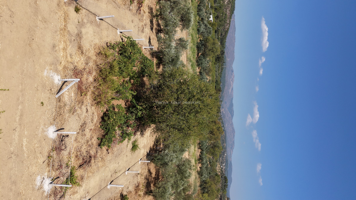 MENDERES DEREKÖYDE SATILIK 460 M2 TAPULU MERKEZE YAKIN ÇEVRİLİ HARİKA BAHÇE - 2