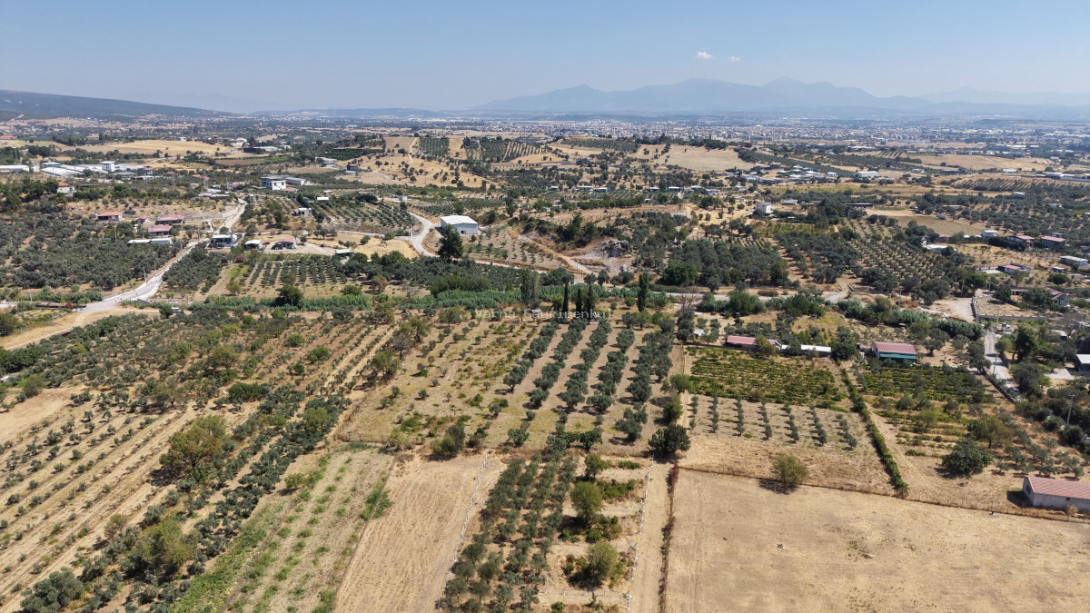 MENDERES DEREKÖYDE SATILIK 460 M2 TAPULU MERKEZE YAKIN ÇEVRİLİ HARİKA BAHÇE