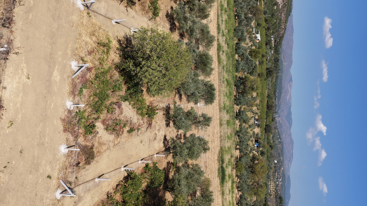 MENDERES DEREKÖYDE SATILIK 460 M2 TAPULU MERKEZE YAKIN ÇEVRİLİ HARİKA BAHÇE - 5
