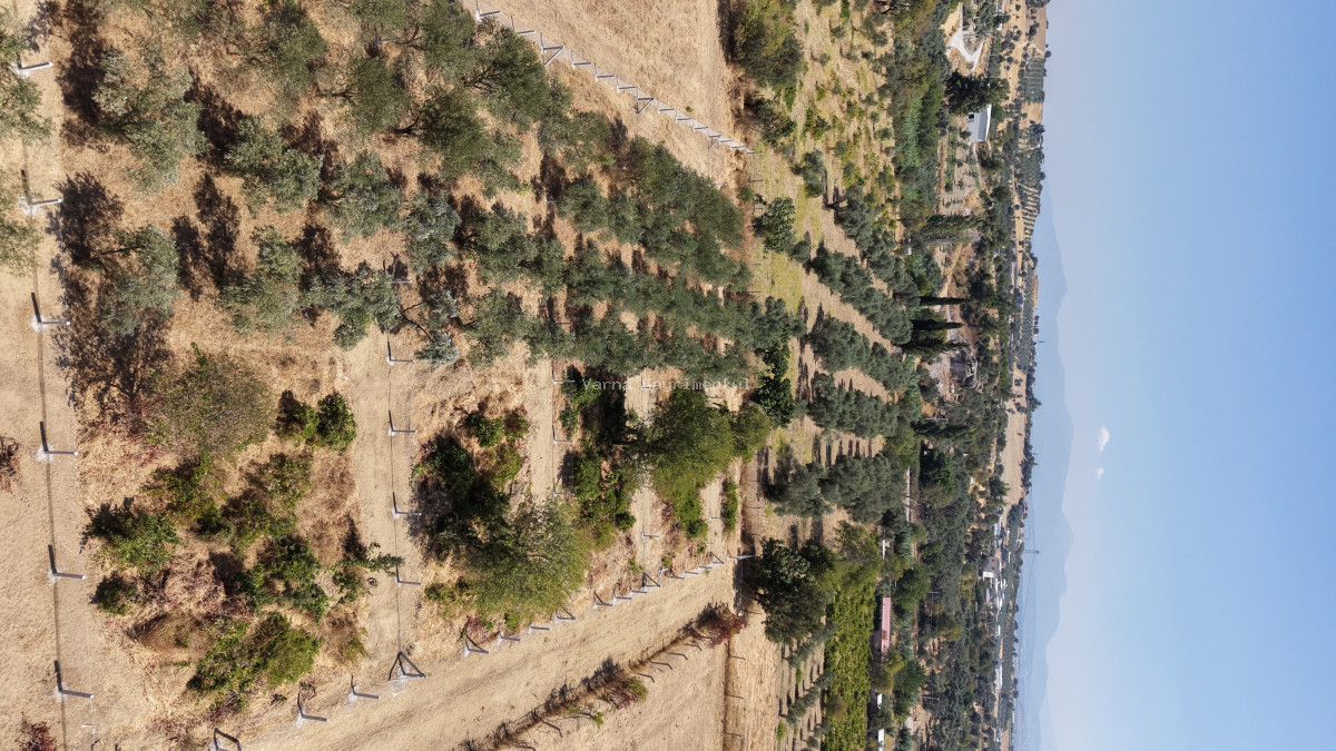 MENDERES DEREKÖYDE SATILIK 460 M2 TAPULU MERKEZE YAKIN ÇEVRİLİ HARİKA BAHÇE - 8
