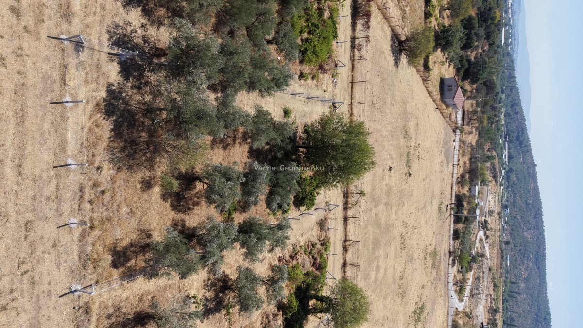 MENDERES DEREKÖYDE SATILIK 460 M2 TAPULU MERKEZE YAKIN ÇEVRİLİ HARİKA BAHÇE - 9