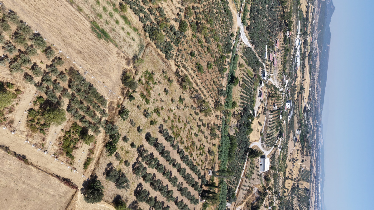 MENDERES DEREKÖYDE SATILIK 460 M2 TAPULU MERKEZE YAKIN ÇEVRİLİ HARİKA BAHÇE - 11
