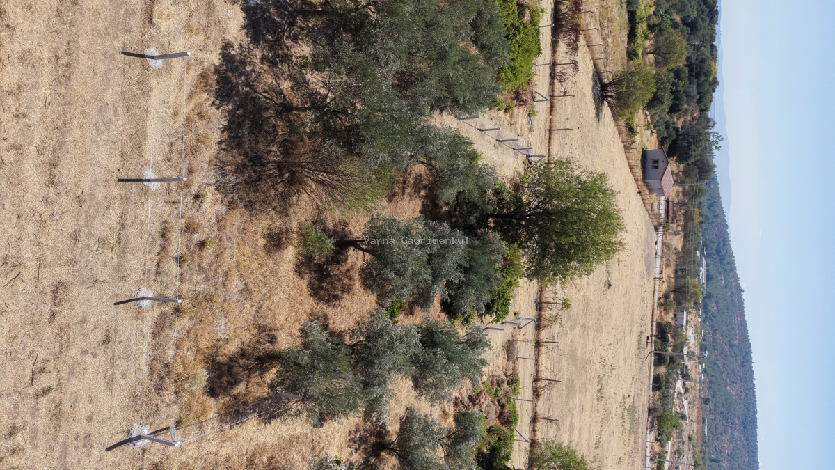 MENDERES DEREKÖYDE SATILIK 460 M2 TAPULU MERKEZE YAKIN ÇEVRİLİ HARİKA BAHÇE - 12
