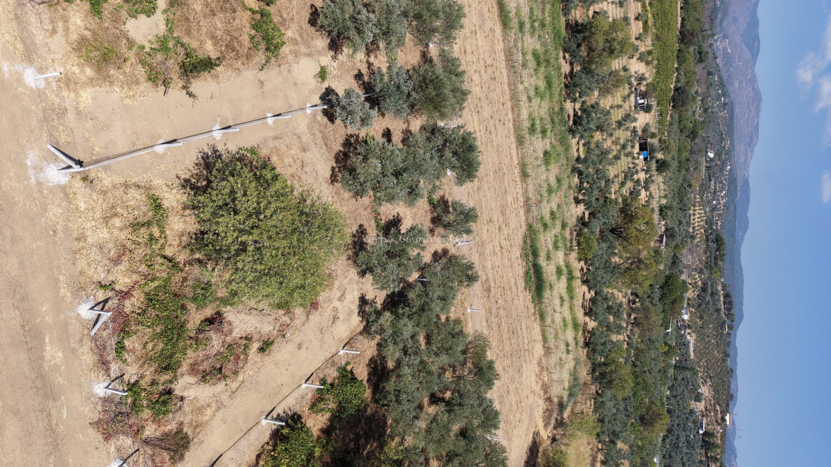 MENDERES DEREKÖYDE SATILIK 460 M2 TAPULU MERKEZE YAKIN ÇEVRİLİ HARİKA BAHÇE - 13