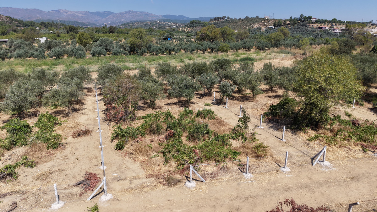 MENDERES DEREKÖYDE SATILIK 460 M2 TAPULU MERKEZE YAKIN ÇEVRİLİ HARİKA BAHÇE - 14