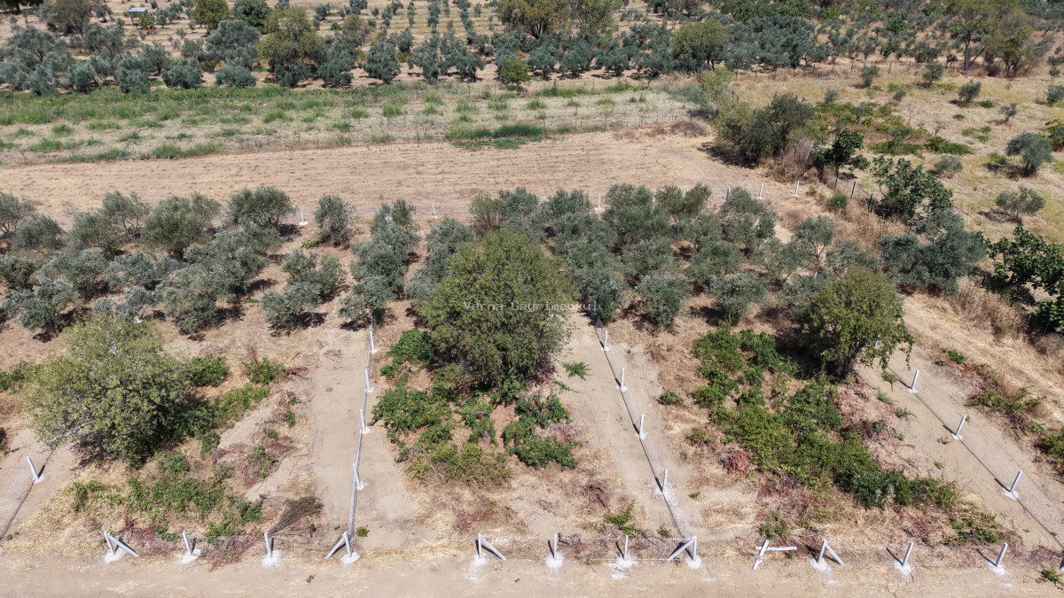 MENDERES DEREKÖYDE SATILIK 460 M2 TAPULU MERKEZE YAKIN ÇEVRİLİ HARİKA BAHÇE - 15