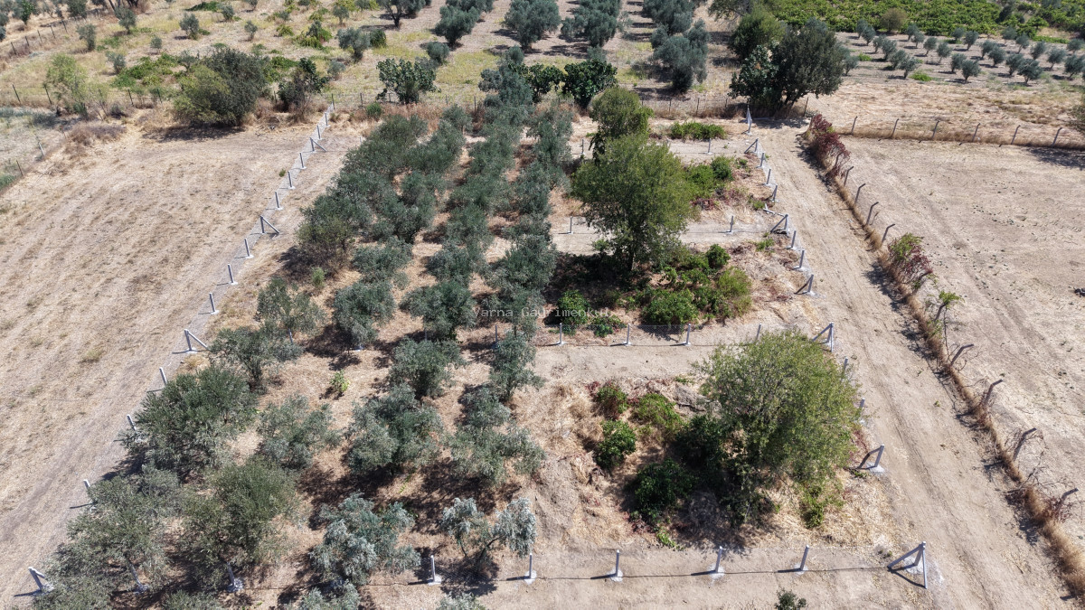 MENDERES DEREKÖYDE SATILIK 460 M2 TAPULU MERKEZE YAKIN ÇEVRİLİ HARİKA BAHÇE - 16